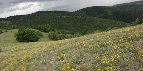 Landscape of Golo Bardo